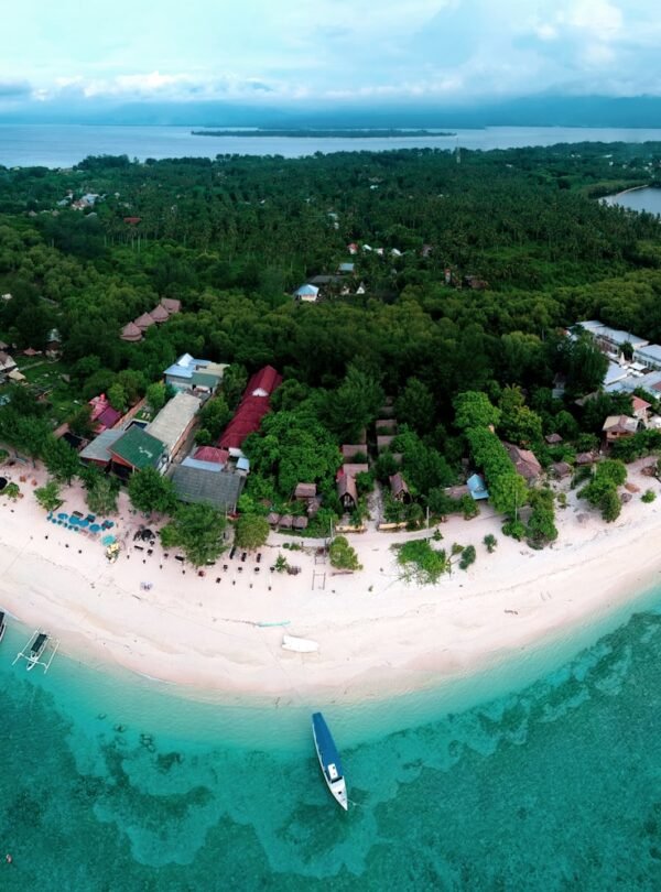 aerial view of green trees and body of water during daytime